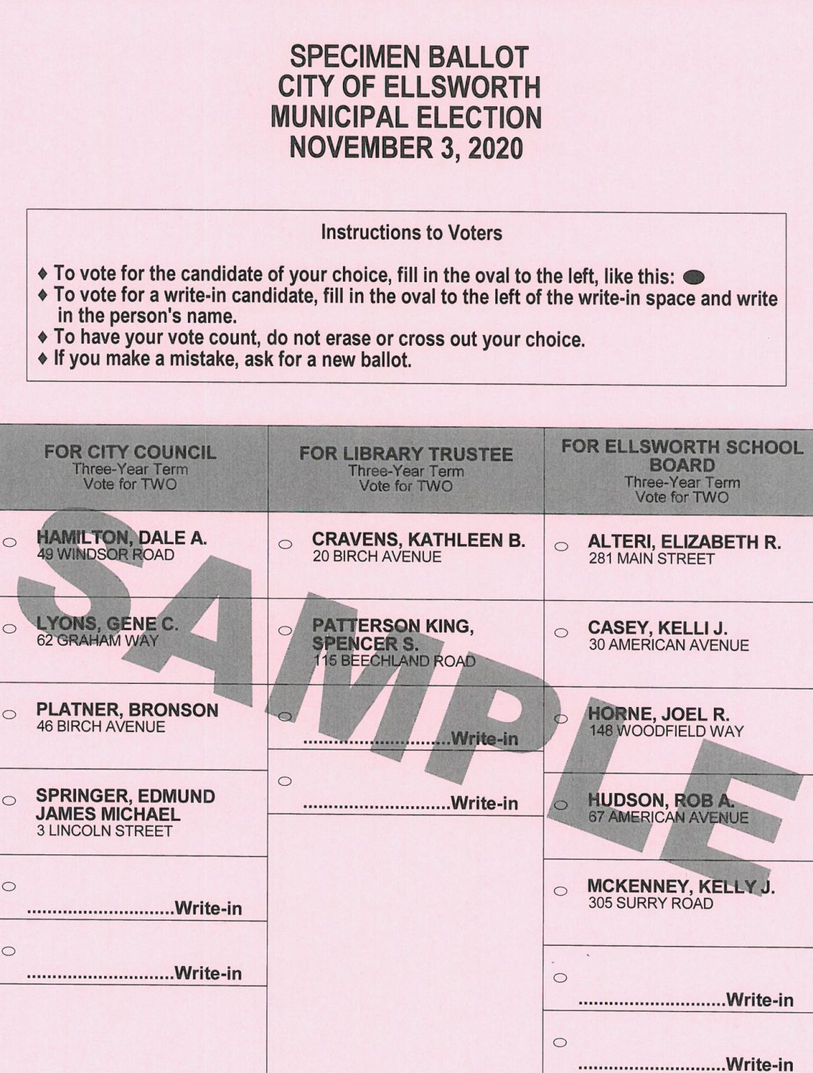 Sample Ballots for the November 3rd, 2020 Election - City of Ellsworth ...