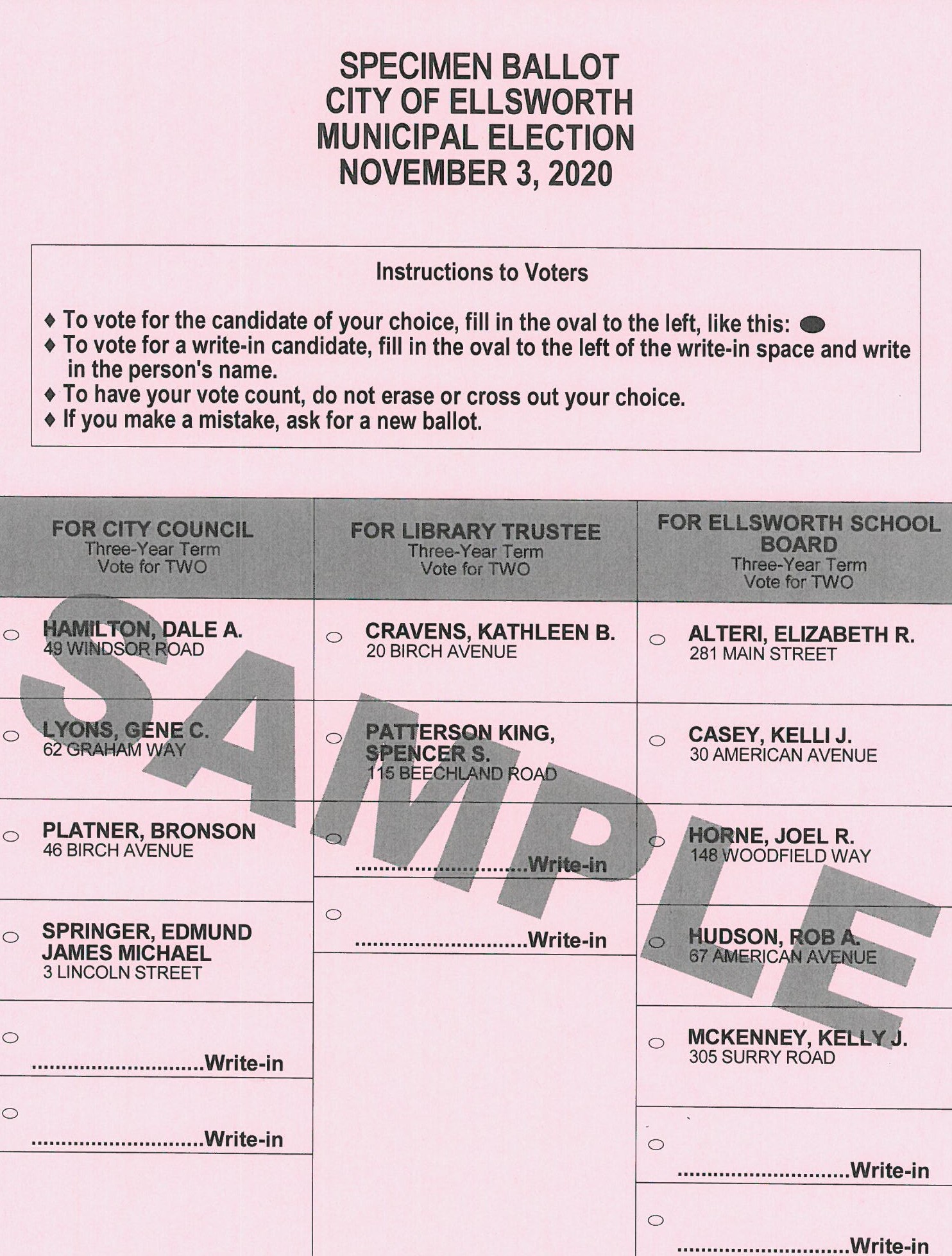 sample ballots for voting