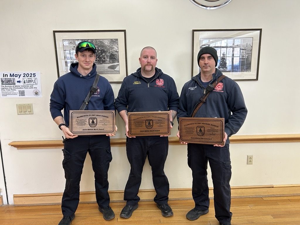 Three men of the fire department stand in line holding their merit award plaques.