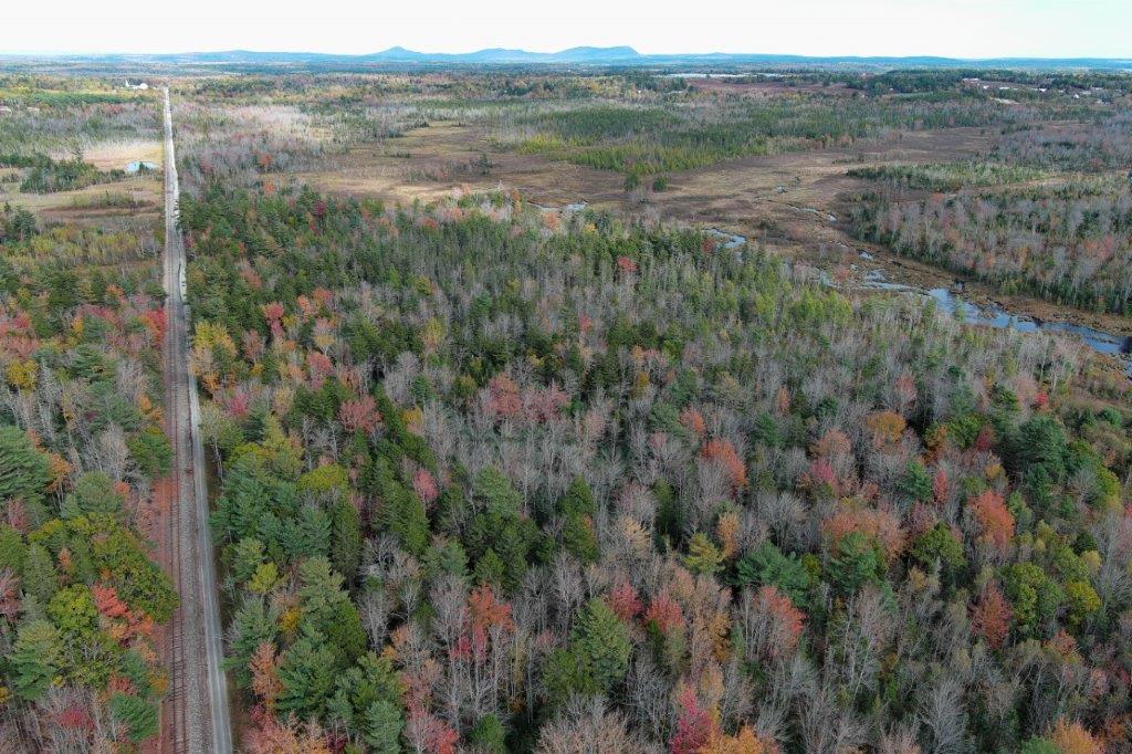 Aerial of railroad line through a forest.